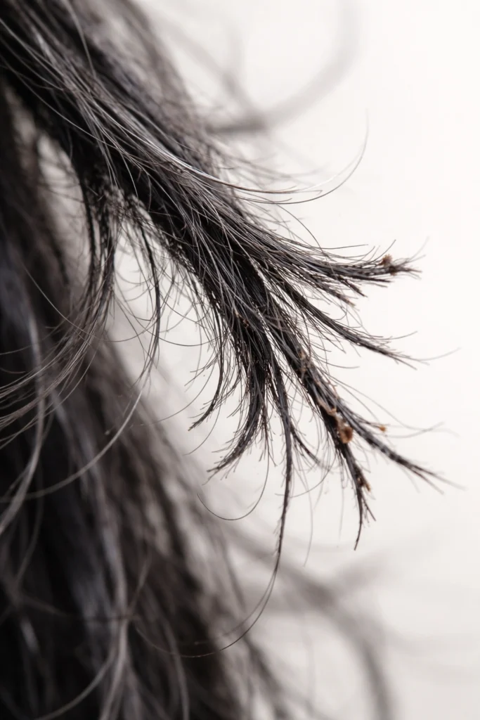How to Strip Black Hair Dye at Home